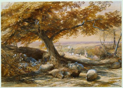 Ovejas en la sombra, c.1851 de Samuel Palmer