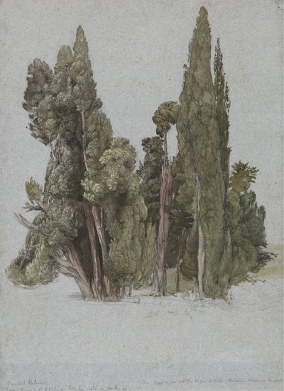 Los cipreses de Villa d