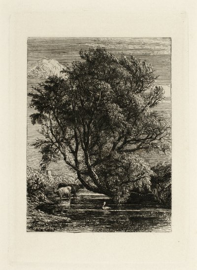 El Sauce de Samuel Palmer