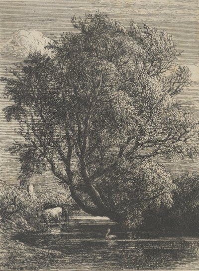 El sauce, 1850 de Samuel Palmer