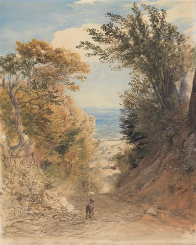 Vista desde Rook