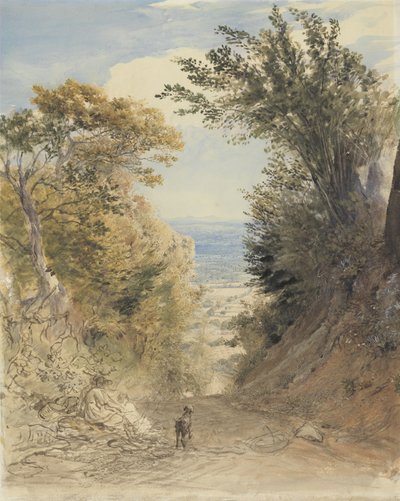 Vista desde Rook