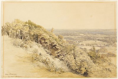 Vista desde Wilmots Hill, Kent de Samuel Palmer