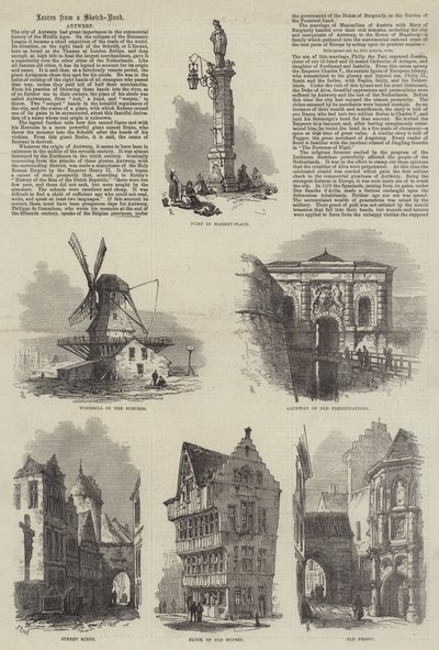 Amberes de Samuel Read