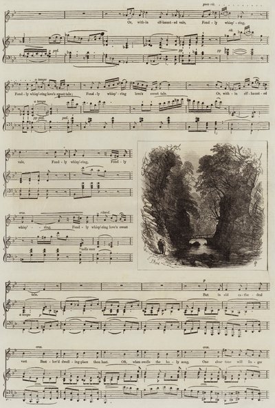 Eco de Samuel Read
