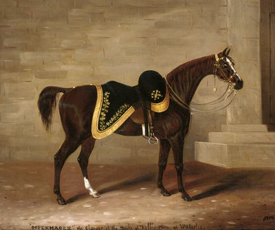 Copenhague, el caballo del Duque de Wellington en Waterloo de Samuel Spode