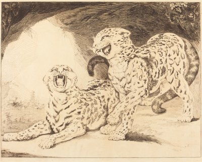 Leopardos de Samuel William Reynolds I after James Northcote
