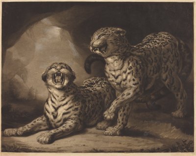 Leopardos de Samuel William Reynolds I after James Northcote