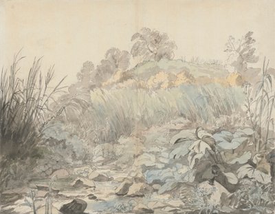 Un arroyo rocoso de Samuel Woodforde