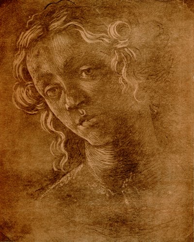 Cabeza femenina de Sandro Botticelli