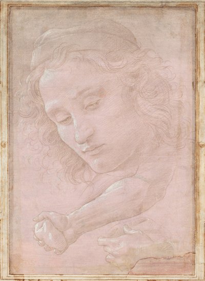 Cabeza de un joven con gorra; un antebrazo derecho con la mano agarrando una piedra; y una mano izquierda sosteniendo una tela de Sandro Botticelli