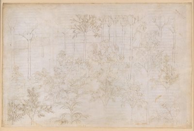 La Divina Comedia, Purgatorio XXXIII. El Paraíso Terrenal: Beatriz en el círculo de las virtudes; la partida; el baño de Dante en el río Eunoe de Sandro Botticelli