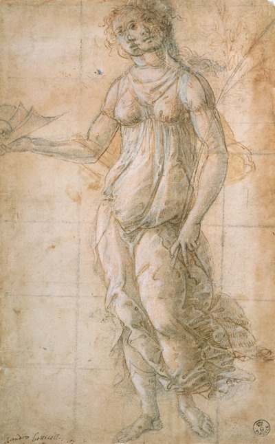 Estudio de Atenea de Sandro Botticelli