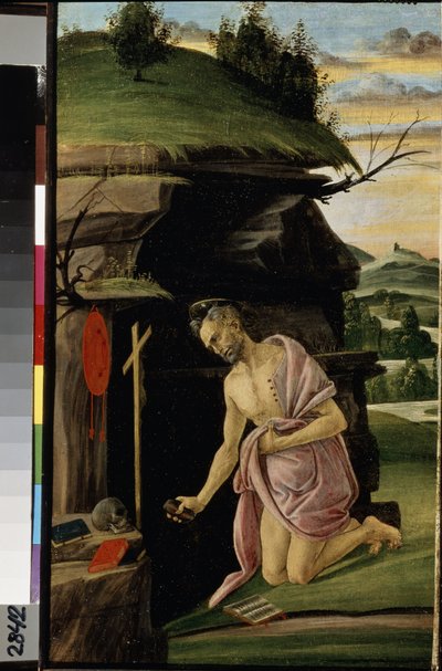 Imagen desconocida de Sandro Botticelli