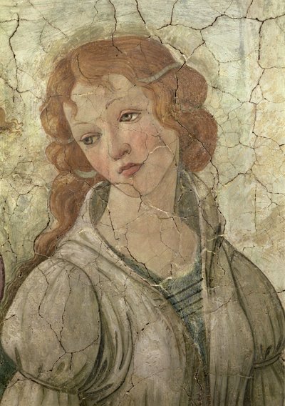 Venus y las Tres Gracias Ofreciendo Regalos a una Joven (detalle) de Sandro Botticelli