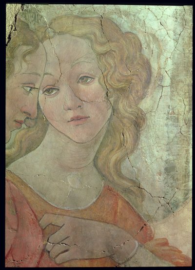 Venus y las Tres Gracias Ofreciendo Regalos a una Joven (detalle) de Sandro Botticelli