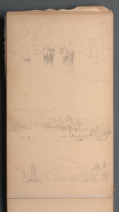 Cuaderno de bocetos, página 07: "Carter Mt () Aug. 28th" de Sanford Robinson Gifford
