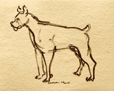 Boceto de perro bóxer de Santhosh ch
