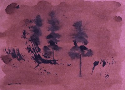 Oscuro paisaje forestal de Santhosh ch