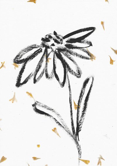 Flor con pétalos que caen de Santhosh ch