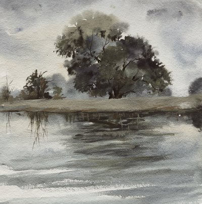 Reflexiones sobre el árbol brumoso de Santhosh ch