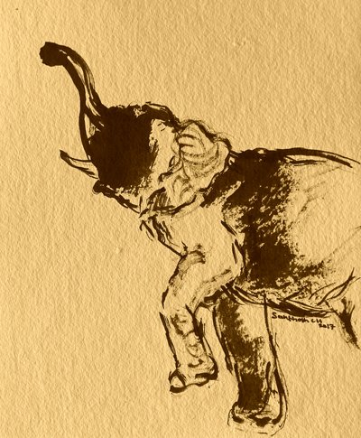 Pose juguetona de elefante de Santhosh ch