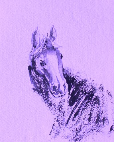 Retrato de caballo morado de Santhosh ch