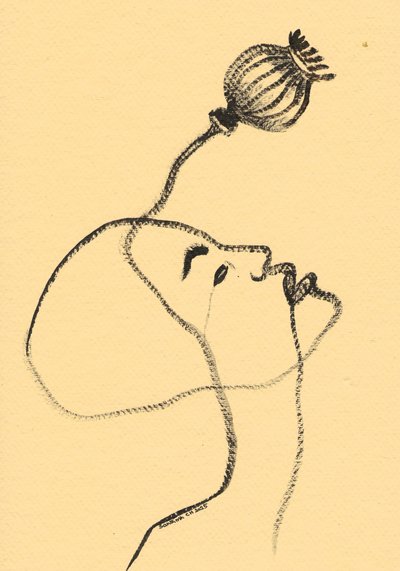 Mirada serena de amapola de Santhosh ch