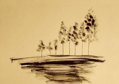 Sereno reflejo de árbol de Santhosh ch
