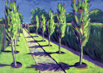 Avenida de Sara Hayward