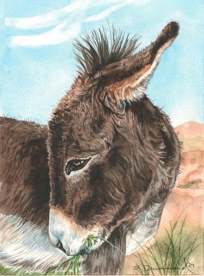 Bashful, 2024 (Acuarela sobre papel) de Sarah Drummond