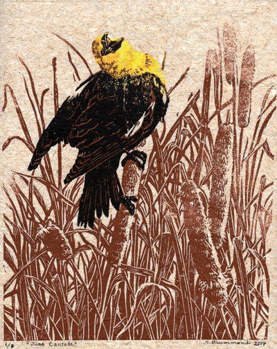 Cantata de la espadaña, 2017 (linograbado) de Sarah Drummond