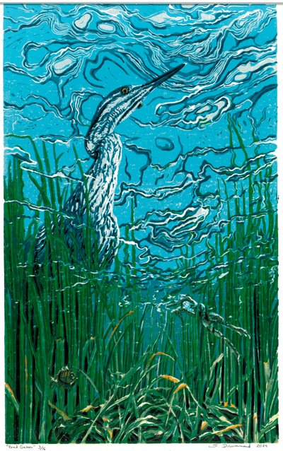 Mirador del estanque, 2024 (linograbado) de Sarah Drummond