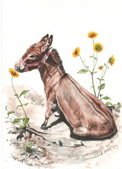 Stop and Smell the Flowers, 2024 (Acuarela sobre papel) de Sarah Drummond