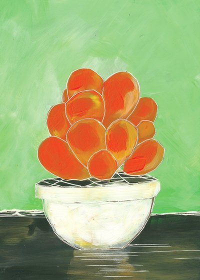 Una maceta de suculentas llena de color de Sarah Fitzgerald