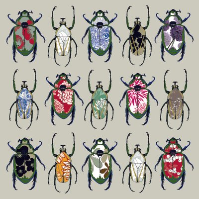 Beetledrive, 2008 de Sarah Hough