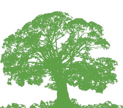 Árbol para Trepar, 2009 de Sarah Hough