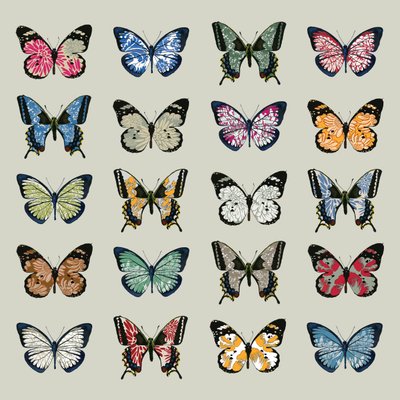 Papillon, 2008 de Sarah Hough