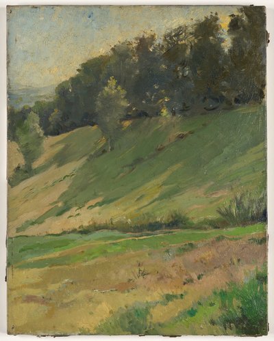 Vista desde Llandrindod Wells: The Upper Link, c.1900 (pintura) de Sarah Paxton Ball Dodson