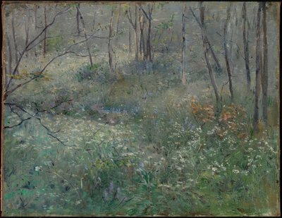 Perejil silvestre de Sarah Paxton Ball Dodson