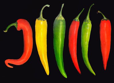 Cinco guindillas, 2024 (óleo sobre lienzo) de Sarah Thompson Engels