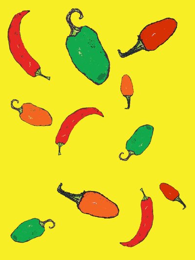 Chiles 2012 de Sarah Thompson Engels