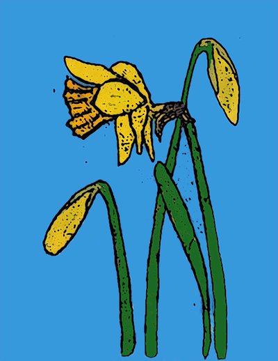 Narcisos de Sarah Thompson Engels