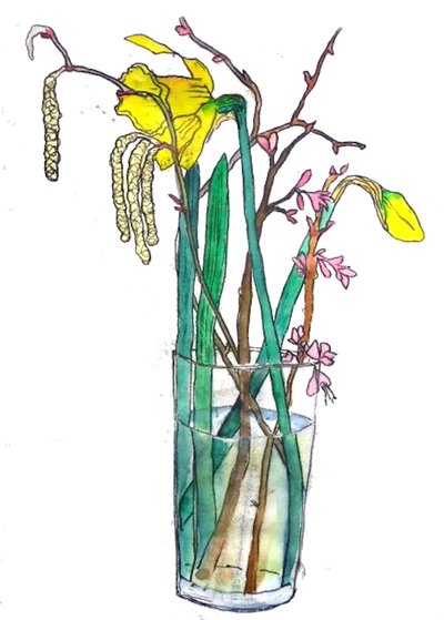 Narcisos de Sarah Thompson Engels