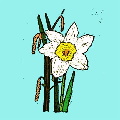 Narcisos, 2015 de Sarah Thompson Engels