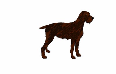 Perro de Sarah Thompson Engels