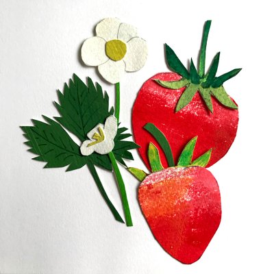 Fresas de Sarah Thompson Engels