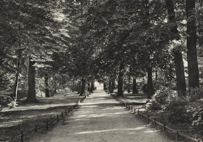 Berlín: Tiergarten de Sasha Stone