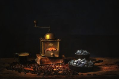  de Saskia Dingemans