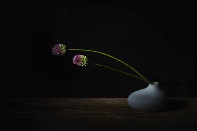  de Saskia Dingemans
